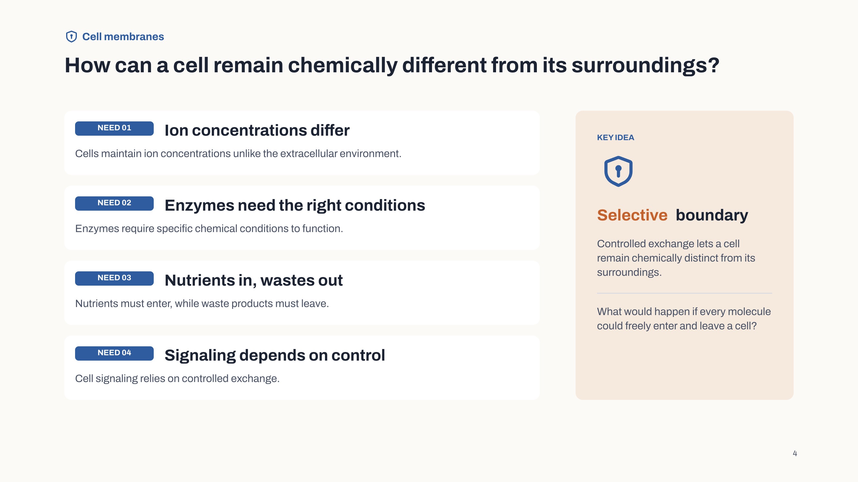 Bright Classroom slide 3