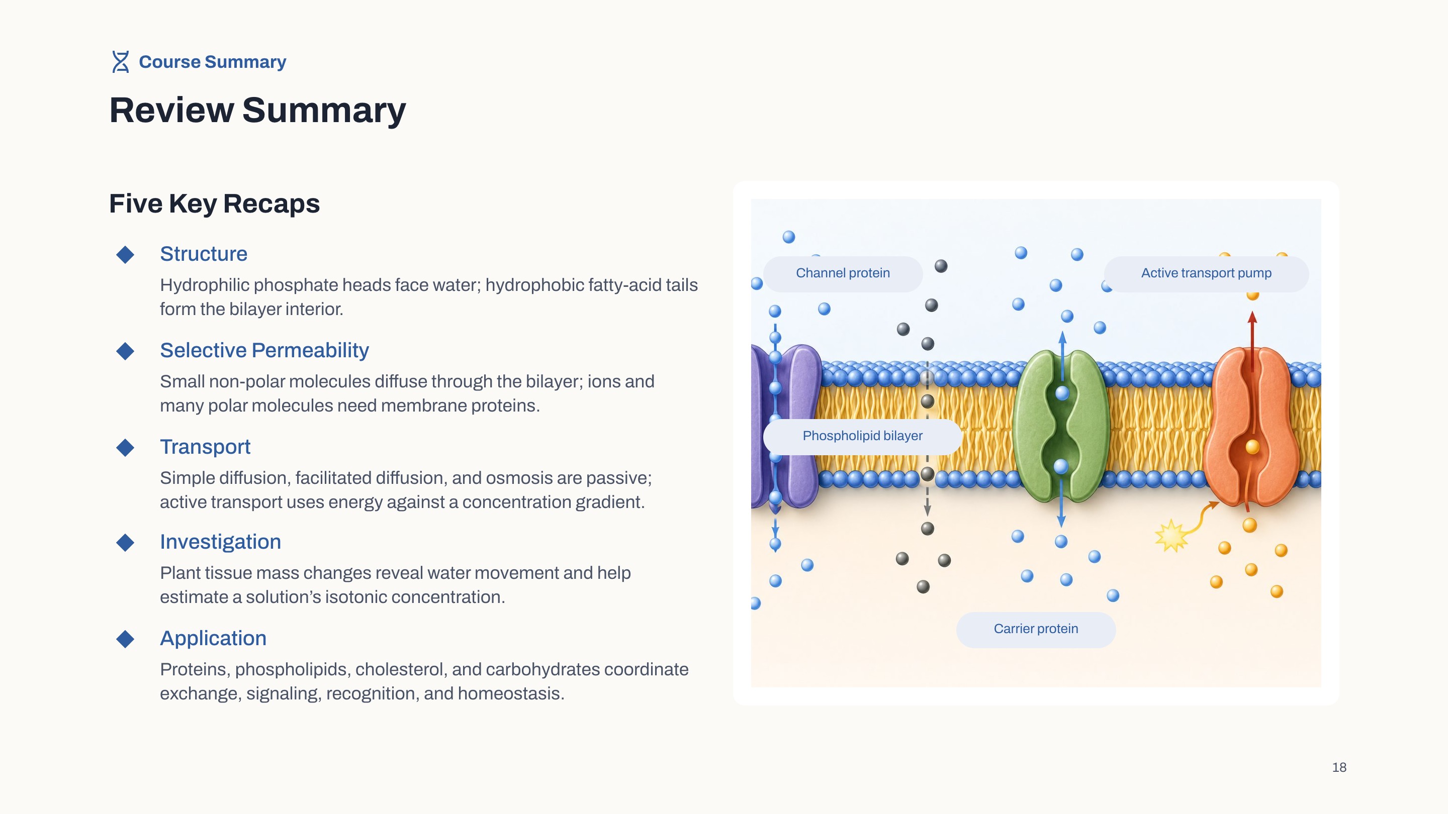 Bright Classroom slide 8